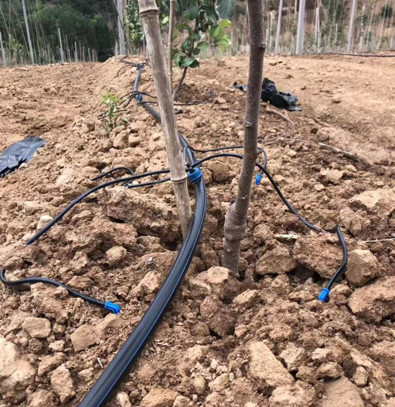 果樹(shù)滴灌管